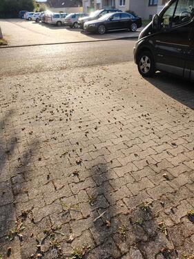 Foto - andere in Wegberg