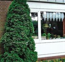 Bungalowhälfte mit kleiner Terrasse zum Vermieten - Marklohe