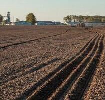 Zu verpachten 30 ha Ackerland - 180,00&nbsp;EUR Kaltmiete, ca.&nbsp; 0,00&nbsp;m&sup2; in Bruchsal (PLZ: 76646)