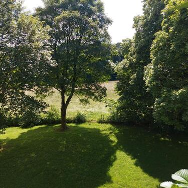 Foto - Etagenwohnung in Remscheid zur Miete