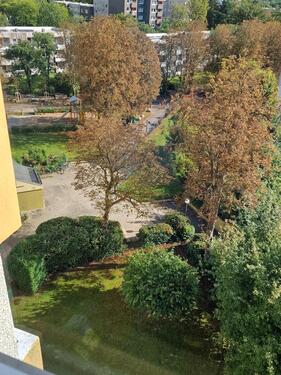 Foto - Etagenwohnung zur Miete in Kiel
