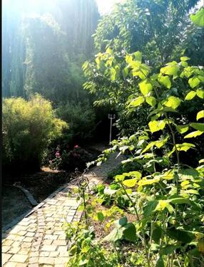 Foto - 13 Zimmer Mehrfamilienhaus, Wohnhaus zum Kaufen in Wolfenbüttel