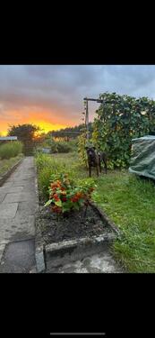 Foto - Schrebergarten in HL Siems Herrenmoor