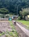 Foto - Grundstück zur Miete in Bad Schwartau
