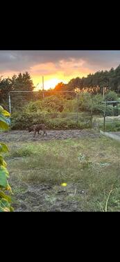 Foto - Grundstück in Bad Schwartau