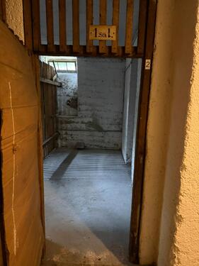 Foto - Keller Kellerabteil Lager Lagerraum Stauraum in LaimPasing