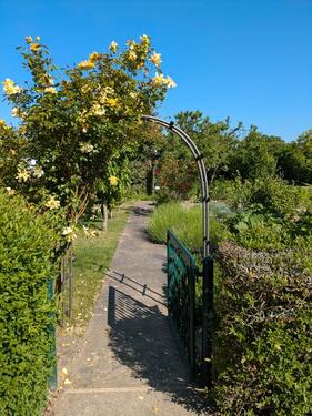 Foto - Kleingarten Am Mühlenbach Wolfenbüttel