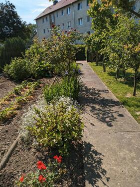 Foto - Grundst&uuml;ck zur Miete in Wolfenbüttel