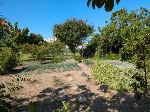Foto - Grundst&uuml;ck in Wolfenbüttel