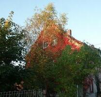 Wohnen mit Pferd - 650,00 EUR Kaltmiete, ca.  75,00 m² in Erbach (PLZ: 64711)