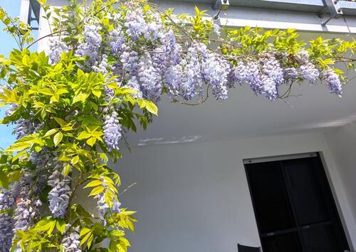 Foto - 4 Zimmer Etagenwohnung in Ingolstadt