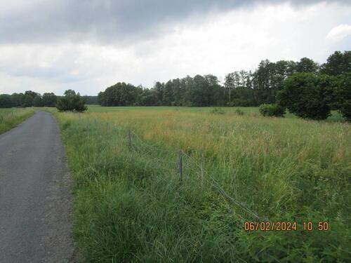 Foto - Grundstück zur Miete in Ebersbach
