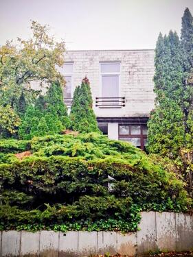 Foto - 5 Zimmer Reihenhaus zum Kaufen in Bonn