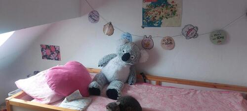 Foto - 