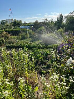 Foto - Kleingarten - 4.200,00&nbsp;EUR Kaltmiete, ca.&nbsp; 0,00&nbsp;m&sup2;