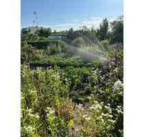 Kleingarten - 4.200,00&nbsp;EUR Kaltmiete, ca.&nbsp; 0,00&nbsp;m&sup2; in Rostock (PLZ: 18109) Groß-Klein