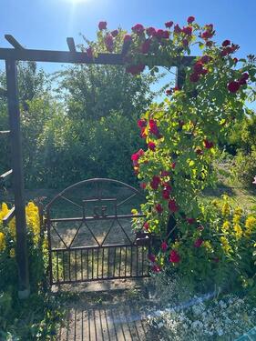 Foto - Grundst&uuml;ck zur Miete in Rostock