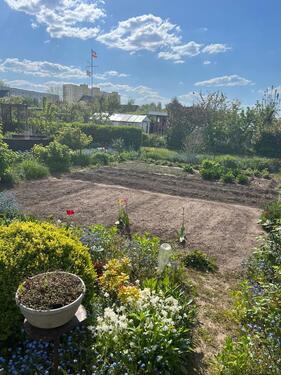 Foto - Grundst&uuml;ck in Rostock zur Miete