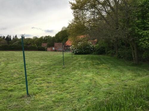 Foto - Einfamilienhaus in Bersenbrück