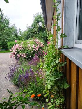 Foto - Ostsee Darß Nähe Zingst Ferienhaus Nähe Barth