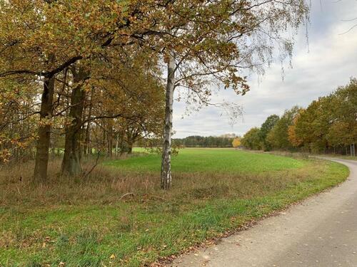 Foto - andere zum Kaufen in Forst (Lausitz)