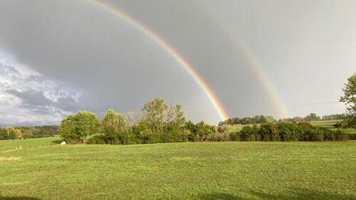 Foto - Mietwohnung - 880,00 EUR Kaltmiete,