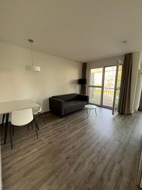 Foto - Etagenwohnung in Dresden zur Miete