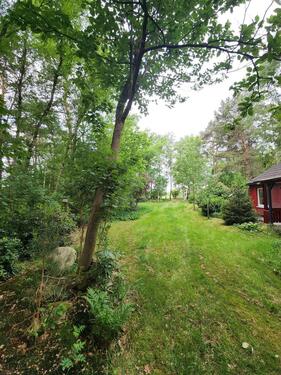 Foto - Einfamilienhaus zum Kaufen in Sottrum