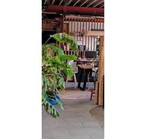 FlexDesk Berlin ab 100 €Monat | Schreibtisch | Flexibler Arbeitsplatz mieten | Coworking Spaces Reinickendorf | Workspace | Desk for rent