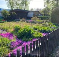 Garten Kleingarten mit Strom Wasser Laube - Zwickau