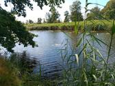 Foto - Grundst&uuml;ck in Delitzsch