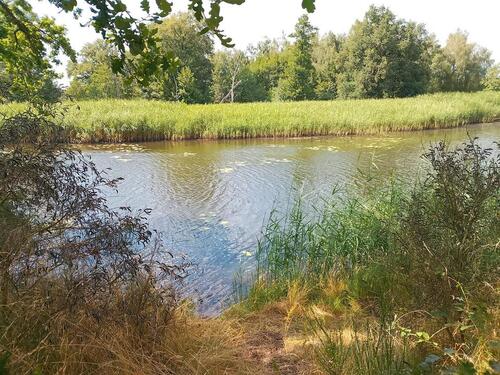 Foto - Grundst&uuml;ck in Delitzsch zur Miete