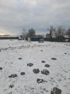 Foto - Einfamilienhaus in Brüel zum Kaufen