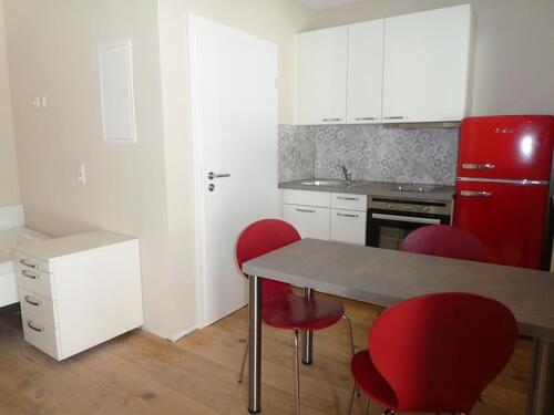 Foto - 1-Zimmer Appartement Möbliert - 400,00&nbsp;EUR Kaltmiete, ca.&nbsp; 16,31&nbsp;m&sup2;