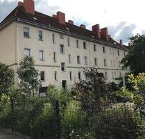 Helle 2-Raumwohnung mit großer Küche und kl. Garten - Wittenberg Lutherstadt