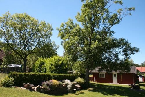 Foto - Urlaub Blockhaus Ferienwohnung – Ostsee, Strand, Ferien mit Hund