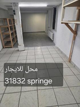 Foto - andere in Springe