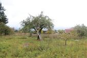 Foto - Bauernhaus, Landhaus in Stendal zum Kaufen