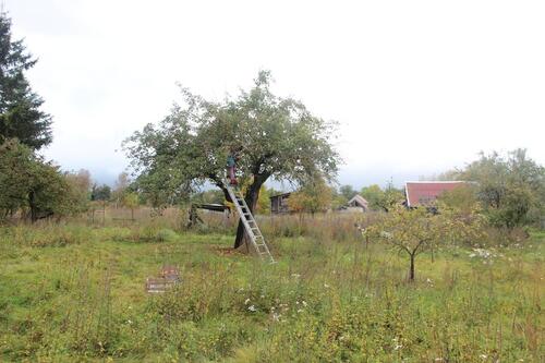 Foto - Bauernhaus, Landhaus in Stendal zum Kaufen