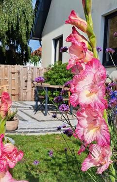 Foto - Einfamilienhaus in Harpstedt zum Kaufen