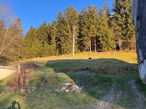 Foto - 5 Zimmer Einfamilienhaus zum Kaufen in Warmensteinach