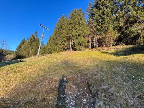 Foto - 5 Zimmer Einfamilienhaus in Warmensteinach