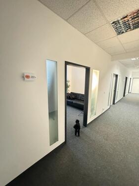 Foto - andere in Hamburg