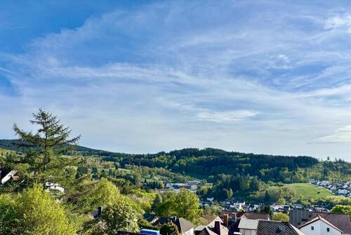 Foto - Traum- Taunusblick 
