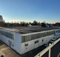 Werkstatt EG Schrauber ab 30m2 in Radolfzell - Radolfzell am Bodensee