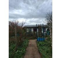 Kleingarten in Riesa abzugeben – ruhig, grün & mit Laube!