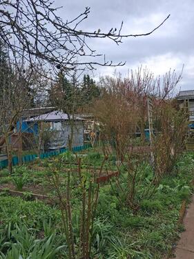 Foto - Grundst&uuml;ck zur Miete in Riesa