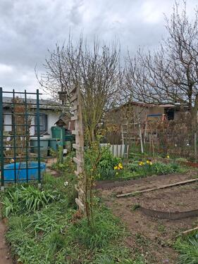 Foto - Grundst&uuml;ck in Riesa