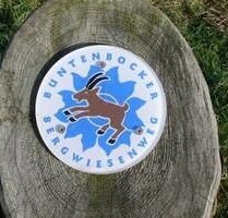 Biete kleines Bergwiesengrundstück Grünfläche in Buntenbock ! - Clausthal-Zellerfeld