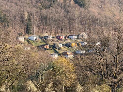 Foto - Grundst&uuml;ck in Glashütte zur Miete